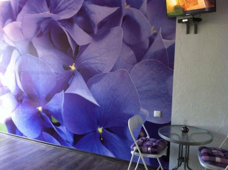 Сдаётся однокомнатный номер в коттедже. Своя кухня,балкон,терраса с видом на море.